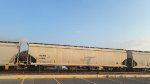 DOWX 68975
